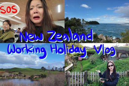 1754641570 maxresdefault infoshare - nz immigration news / 뉴질랜드 이민정보