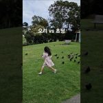 1754914812 maxresdefault infoshare - nz immigration news / 뉴질랜드 이민정보