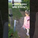 1754989329 maxresdefault infoshare - nz immigration news / 뉴질랜드 이민정보