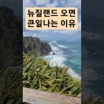 1754992030 maxresdefault infoshare - nz immigration news / 뉴질랜드 이민정보