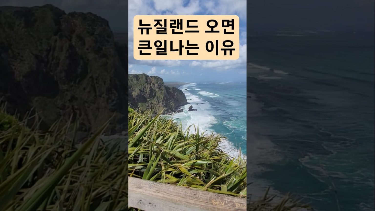 1754992030 maxresdefault infoshare - nz immigration news / 뉴질랜드 이민정보