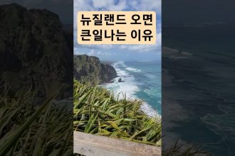 1754992030 maxresdefault infoshare - nz immigration news / 뉴질랜드 이민정보