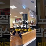 1755073269 maxresdefault infoshare - nz immigration news / 뉴질랜드 이민정보