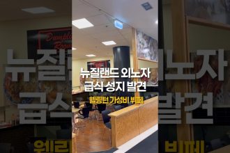 1755073269 maxresdefault infoshare - nz immigration news / 뉴질랜드 이민정보