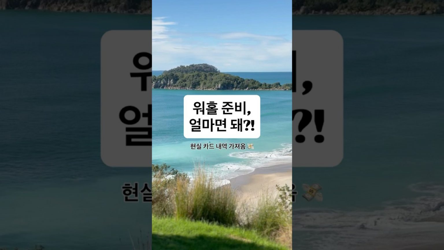 1755073928 maxresdefault infoshare - nz immigration news / 뉴질랜드 이민정보