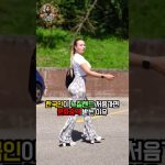 1755074531 maxresdefault infoshare - nz immigration news / 뉴질랜드 이민정보