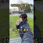 1755087130 hqdefault infoshare - nz immigration news / 뉴질랜드 이민정보