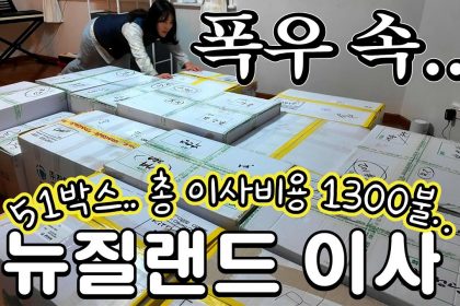 1755347049 maxresdefault infoshare - nz immigration news / 뉴질랜드 이민정보