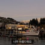 1755414729 maxresdefault infoshare - nz immigration news / 뉴질랜드 이민정보