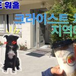 1755420669 maxresdefault infoshare - nz immigration news / 뉴질랜드 이민정보