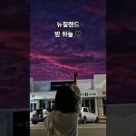 1755674590 maxresdefault infoshare - nz immigration news / 뉴질랜드 이민정보