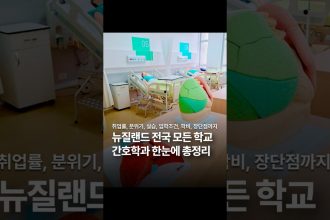 1755759791 maxresdefault infoshare - nz immigration news / 뉴질랜드 이민정보