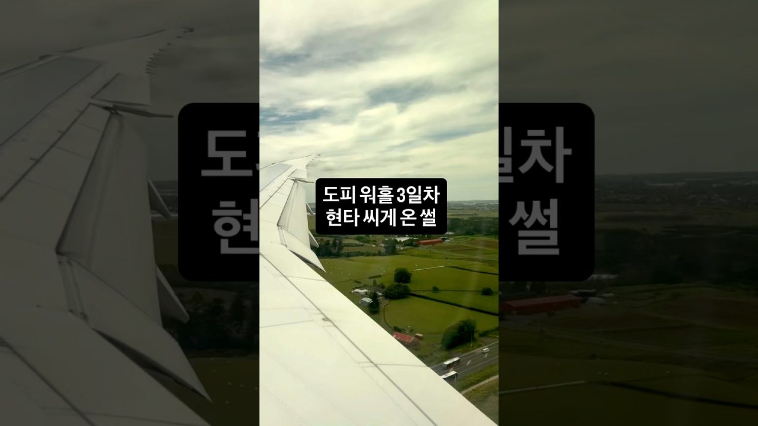 1755765790 maxresdefault infoshare - nz immigration news / 뉴질랜드 이민정보