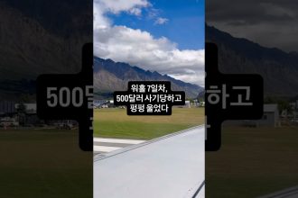 1755920111 maxresdefault infoshare - nz immigration news / 뉴질랜드 이민정보