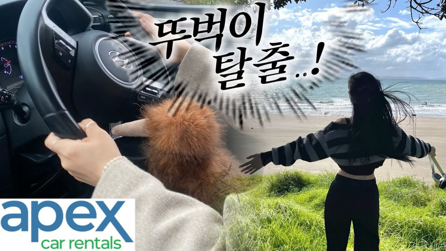 1755922089 maxresdefault infoshare - nz immigration news / 뉴질랜드 이민정보