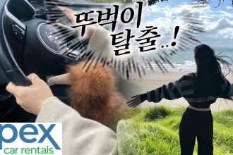 1755922089 maxresdefault infoshare - nz immigration news / 뉴질랜드 이민정보