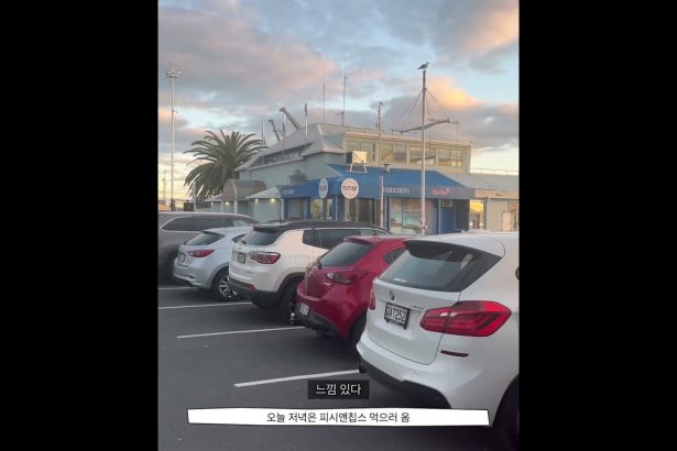 1755930670 maxresdefault infoshare - nz immigration news / 뉴질랜드 이민정보