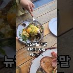 1755931270 maxresdefault infoshare - nz immigration news / 뉴질랜드 이민정보