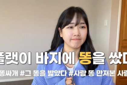 1756027029 maxresdefault infoshare - nz immigration news / 뉴질랜드 이민정보