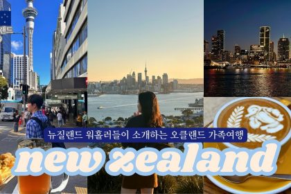 1756123570 maxresdefault infoshare - nz immigration news / 뉴질랜드 이민정보