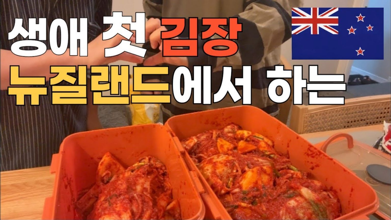 1756366331 maxresdefault infoshare - nz immigration news / 뉴질랜드 이민정보