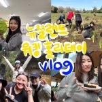 1756378930 maxresdefault infoshare - nz immigration news / 뉴질랜드 이민정보