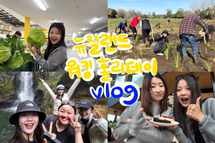 1756378930 maxresdefault infoshare - nz immigration news / 뉴질랜드 이민정보