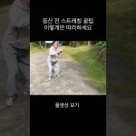 1756379589 maxresdefault infoshare - nz immigration news / 뉴질랜드 이민정보