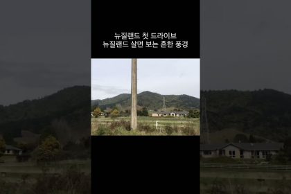 1756380249 maxresdefault infoshare - nz immigration news / 뉴질랜드 이민정보