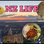 1756626488 maxresdefault infoshare - nz immigration news / 뉴질랜드 이민정보