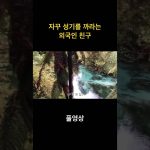 1756641790 maxresdefault infoshare - nz immigration news / 뉴질랜드 이민정보