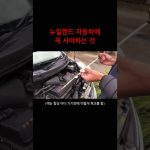 1756643111 maxresdefault infoshare - nz immigration news / 뉴질랜드 이민정보