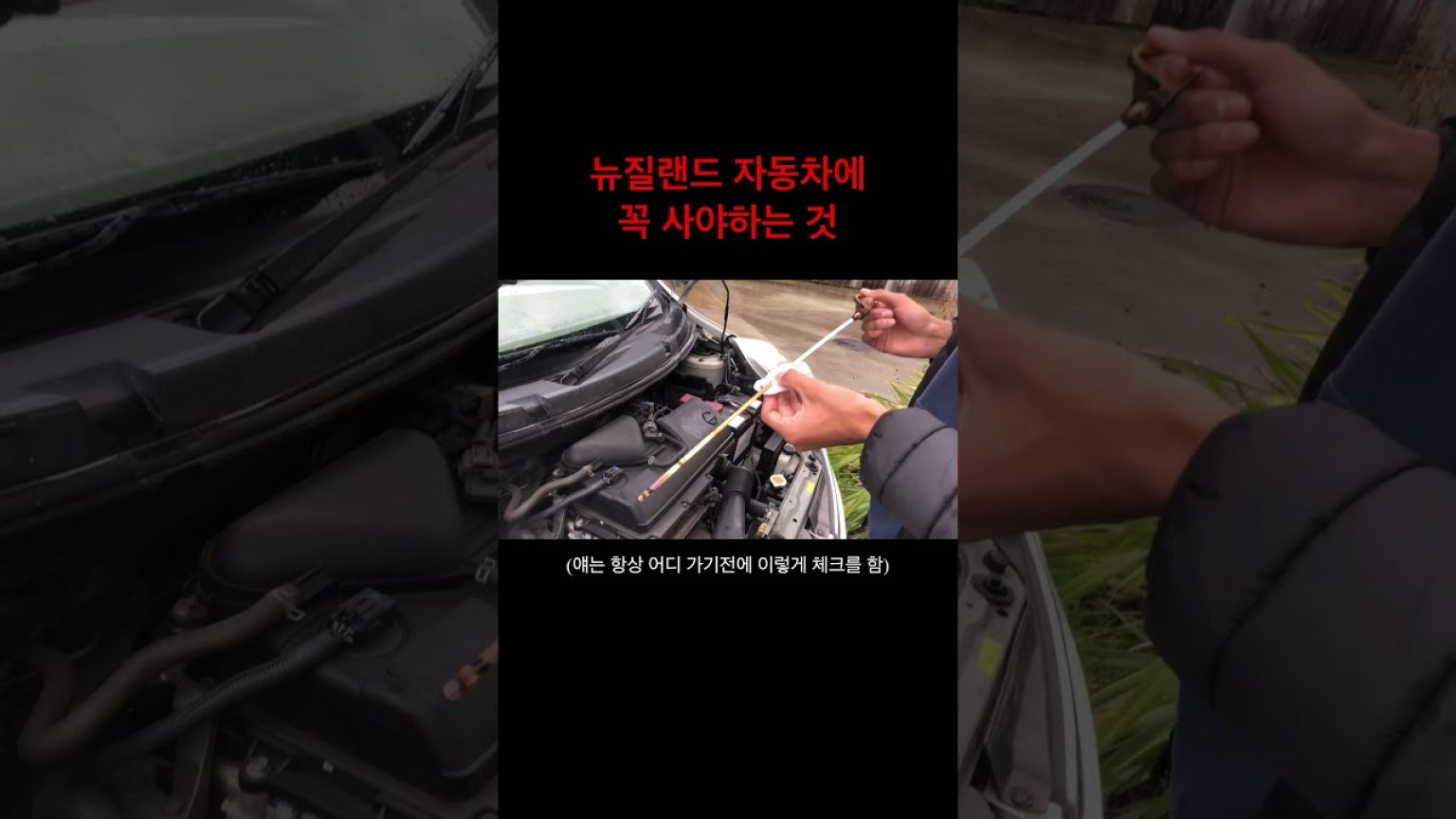 1756643111 maxresdefault infoshare - nz immigration news / 뉴질랜드 이민정보
