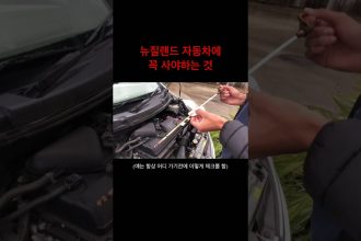 1756643111 maxresdefault infoshare - nz immigration news / 뉴질랜드 이민정보