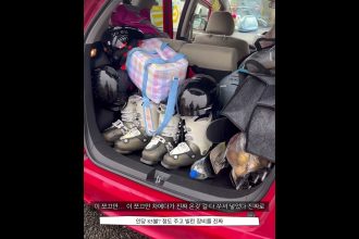 1756644488 maxresdefault infoshare - nz immigration news / 뉴질랜드 이민정보