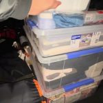 1756714330 maxresdefault infoshare - nz immigration news / 뉴질랜드 이민정보