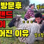 1756972388 maxresdefault infoshare - nz immigration news / 뉴질랜드 이민정보