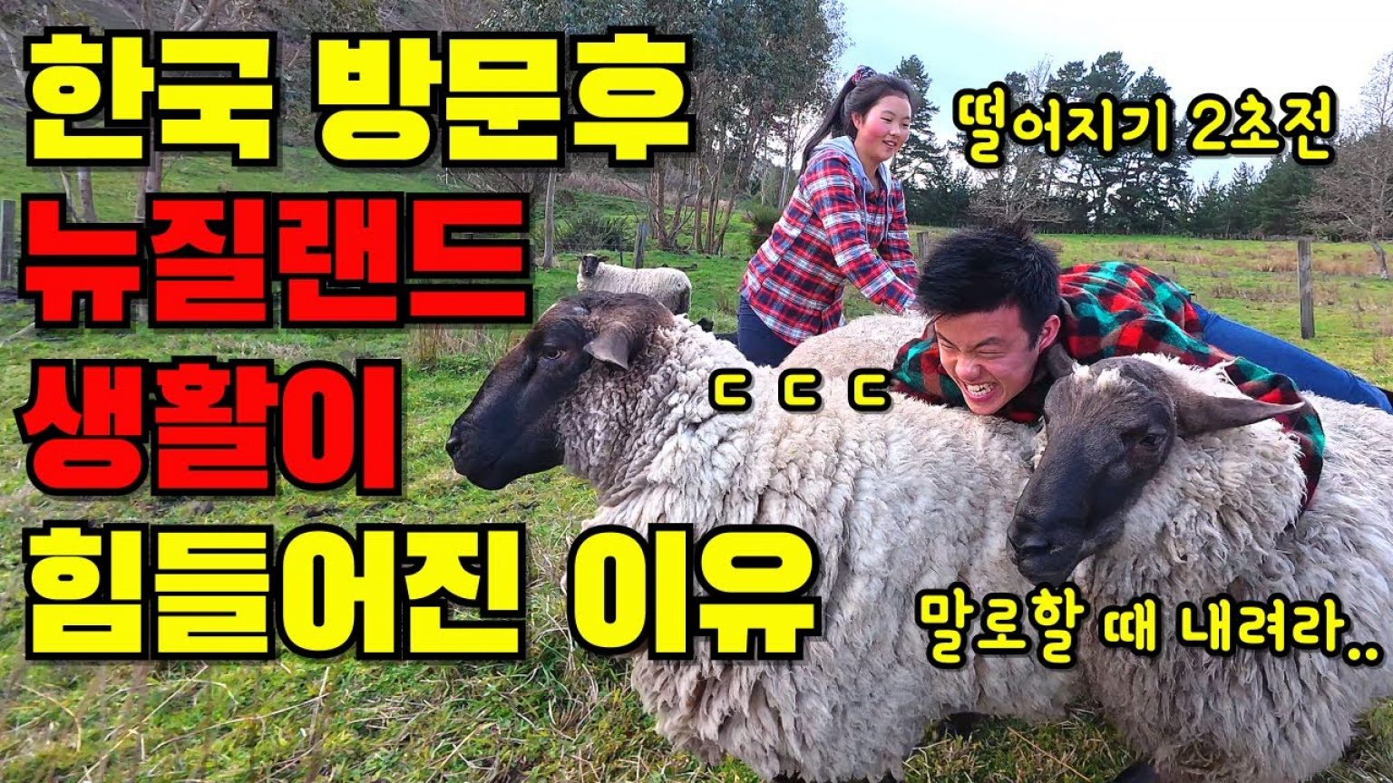 1756972388 maxresdefault infoshare - nz immigration news / 뉴질랜드 이민정보