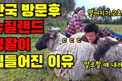 1756972388 maxresdefault infoshare - nz immigration news / 뉴질랜드 이민정보