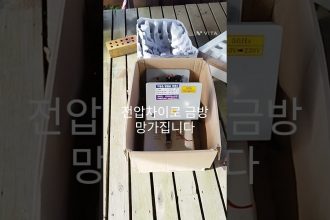 1757067368 maxresdefault infoshare - nz immigration news / 뉴질랜드 이민정보