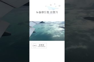 1757323629 maxresdefault infoshare - nz immigration news / 뉴질랜드 이민정보