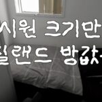 1759866141 maxresdefault infoshare - nz immigration news / 뉴질랜드 이민정보