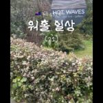 1759866189 maxresdefault infoshare - nz immigration news / 뉴질랜드 이민정보