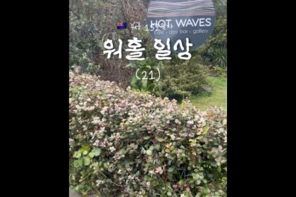 1759866189 maxresdefault infoshare - nz immigration news / 뉴질랜드 이민정보