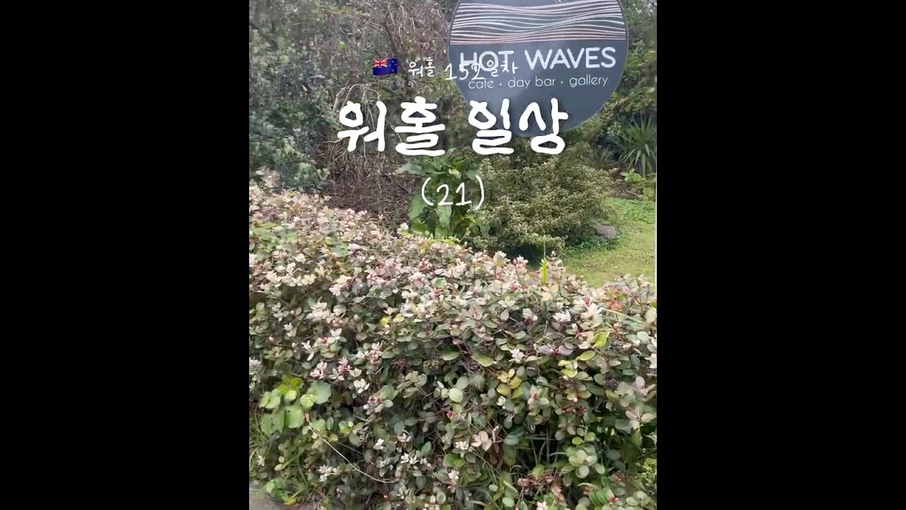 infoshare - nz immigration news / 뉴질랜드 이민정보
