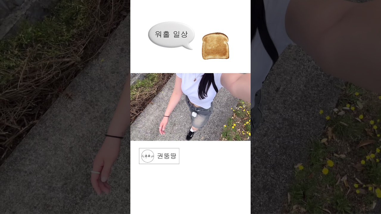 infoshare - nz immigration news / 뉴질랜드 이민정보