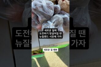 1759866253 maxresdefault infoshare - nz immigration news / 뉴질랜드 이민정보