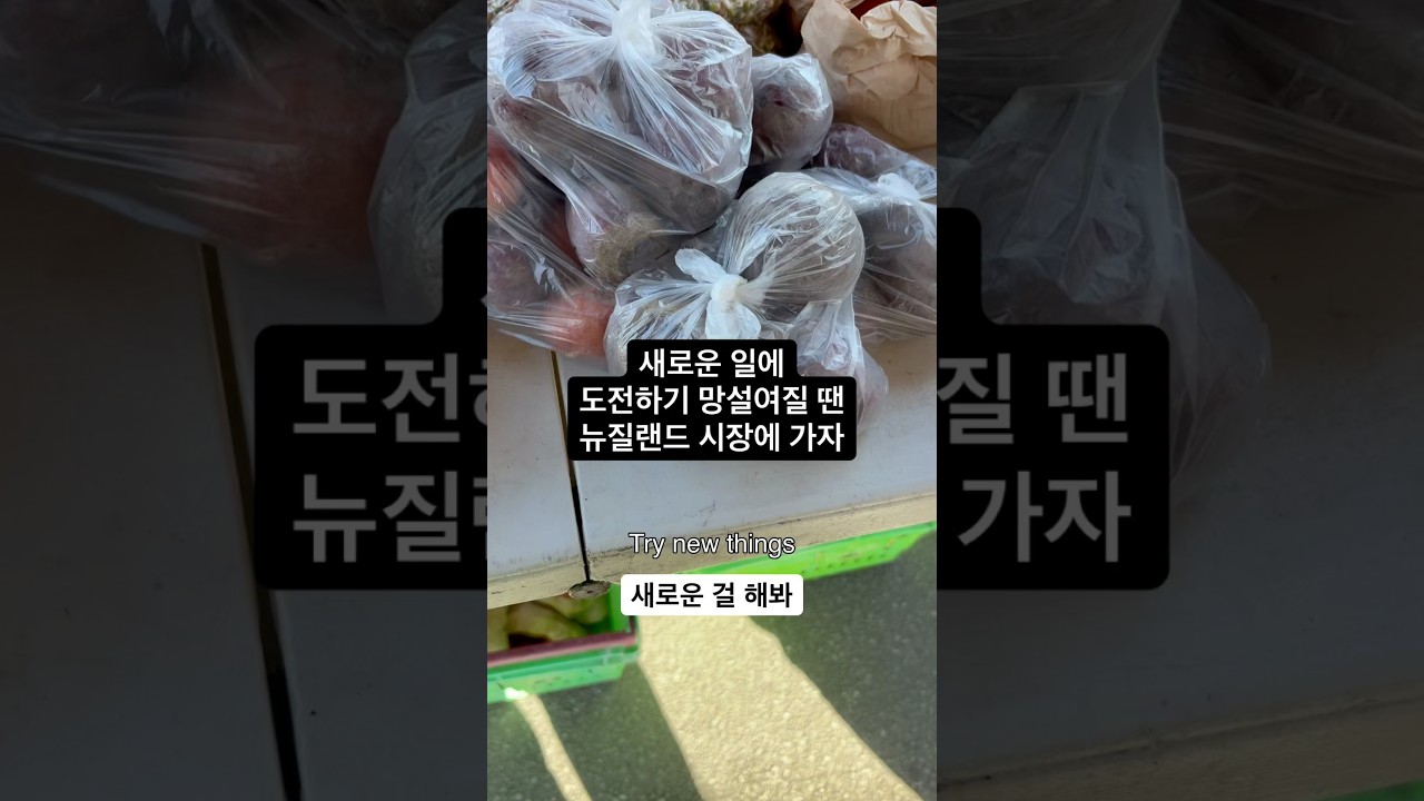 infoshare - nz immigration news / 뉴질랜드 이민정보