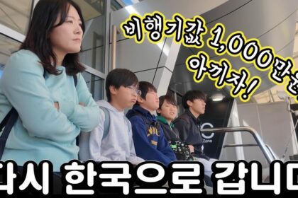 1759894808 maxresdefault infoshare - nz immigration news / 뉴질랜드 이민정보
