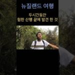1759898412 maxresdefault infoshare - nz immigration news / 뉴질랜드 이민정보